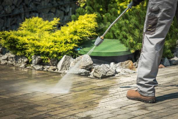 Best Patio and Deck Pressure Washing  in Collinwood, TN